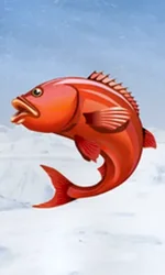 Ice Fishing